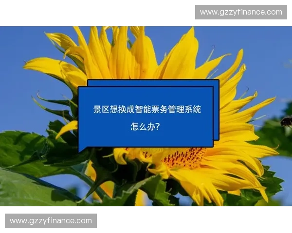 92%的洲际锦标赛已完成实名核销部署，票务合规性成为准入刚性门槛